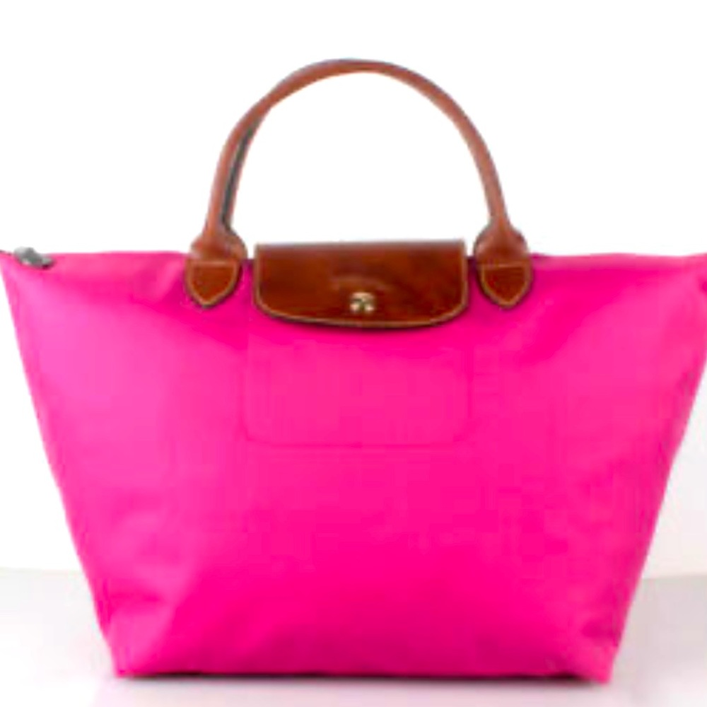 Long champ le pliage M